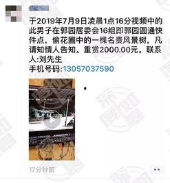 网友爆料类的视频,视频内容深度解析